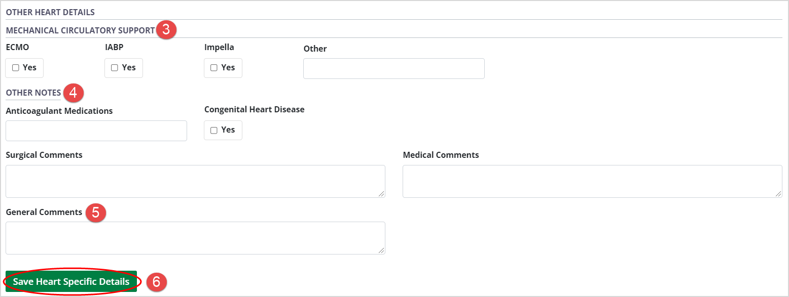 Example - Other heart details form, empty