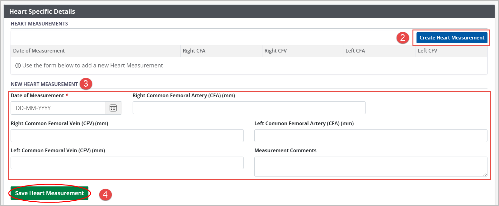 Example - heart measurement table and form, empty